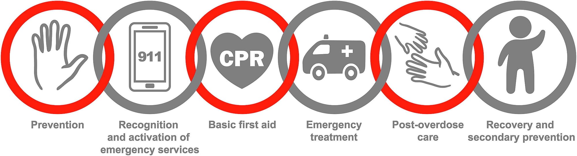 Summer 2025 Newsletter